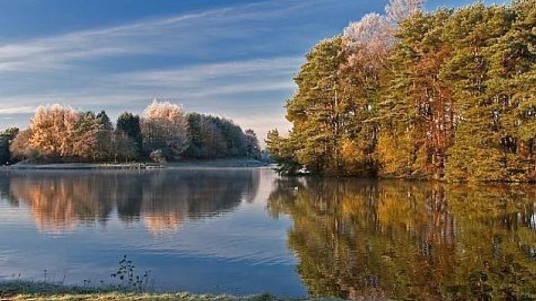 Tranquil accommodation in a great location. Lanark Esterno foto